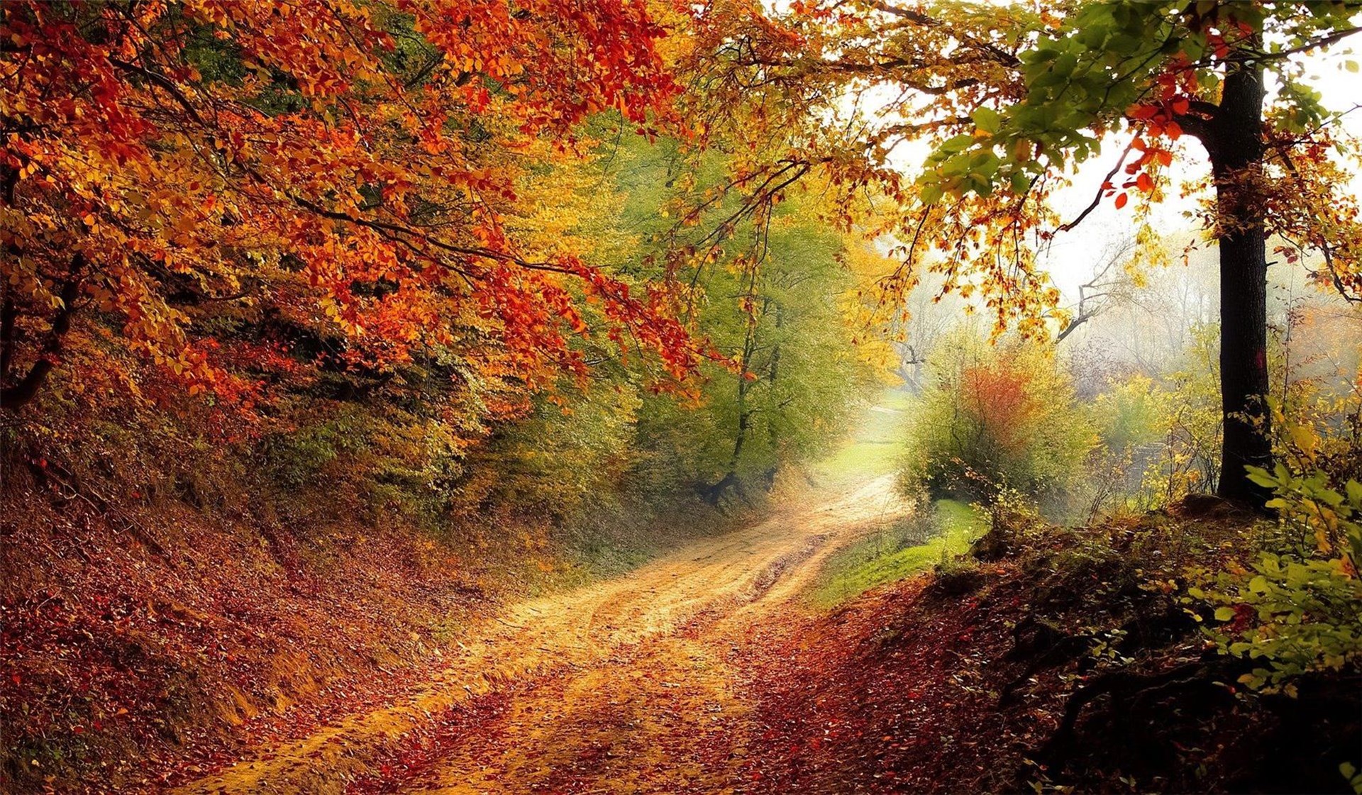 Herbstlandschaft