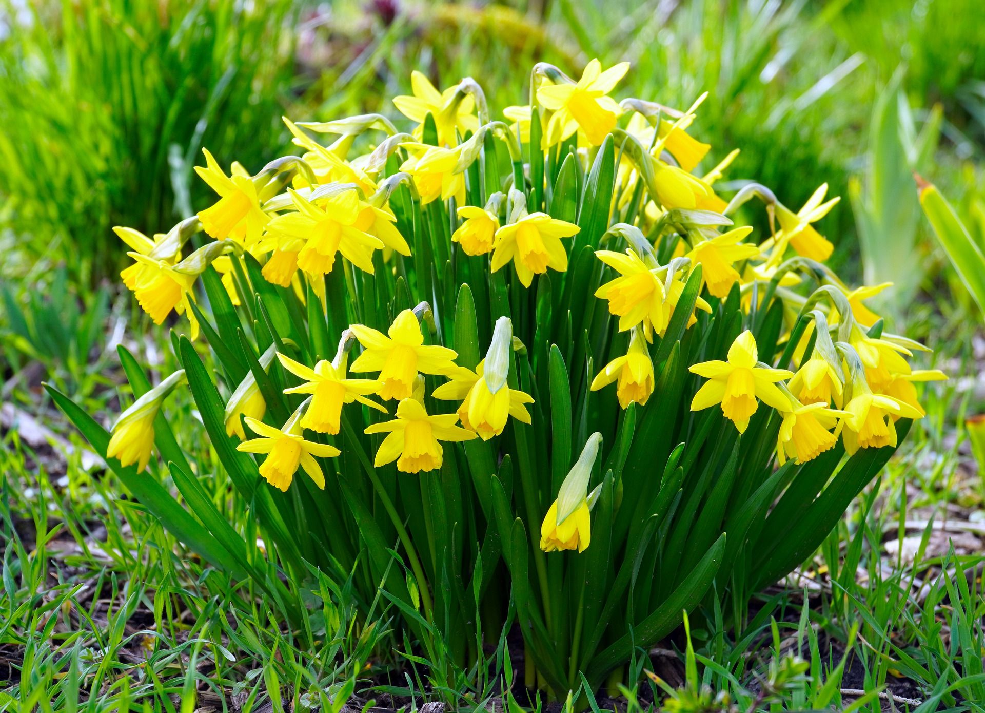 Ostern 2021-Born