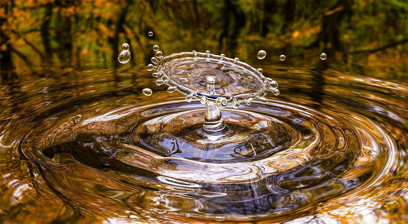 Wasser